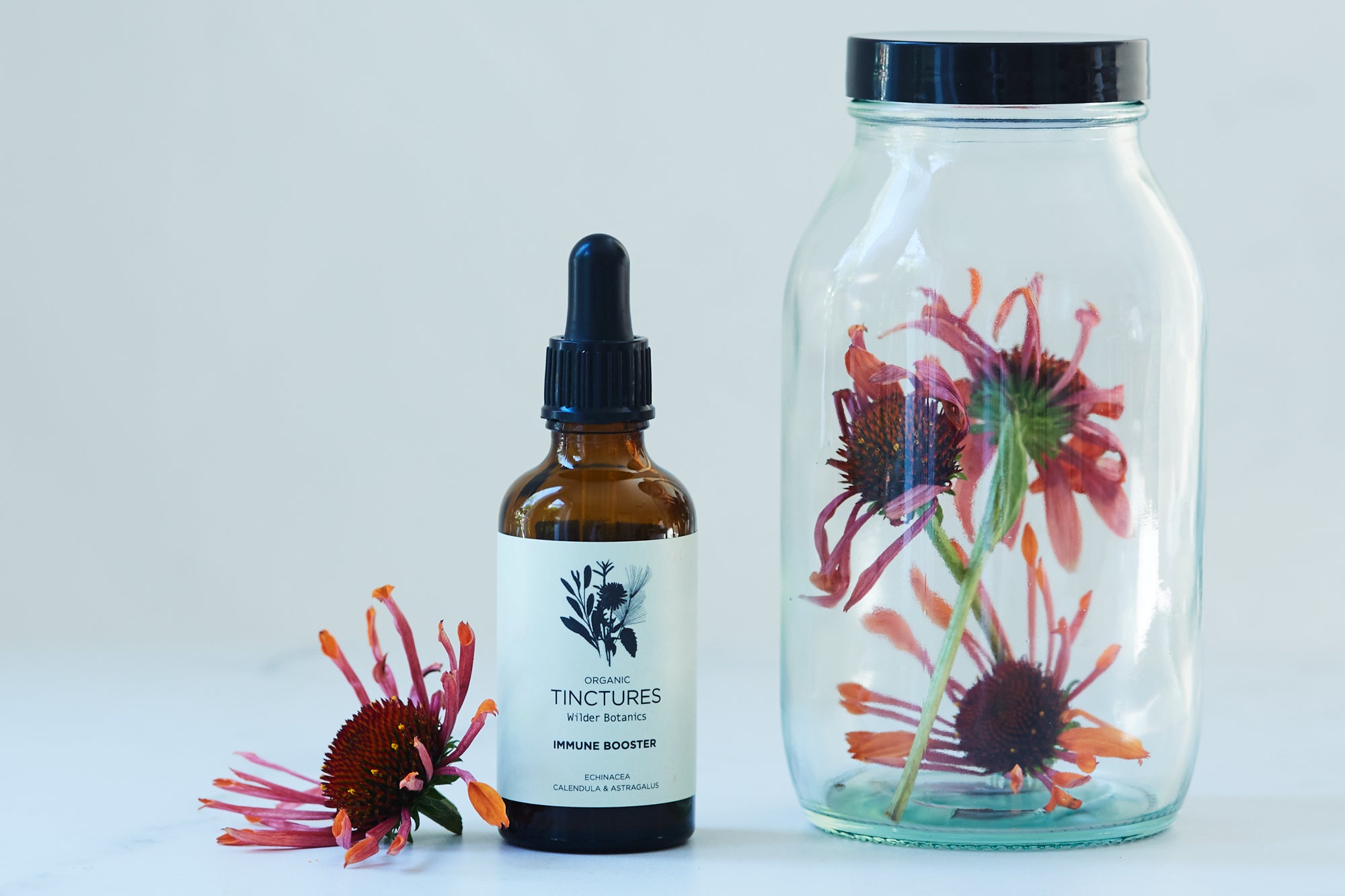 Wilder Botanics | New for us