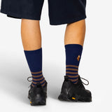 Striped Socks - Brown / Navy