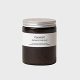 Harvest | Eucalyptus Leaf Candle