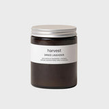 Harvest | Dried Lavender Candle