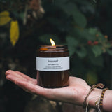 Harvest | Autumn Fig