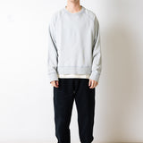 Engineered Raglan-Sweatshirt – Eisblaues Nep