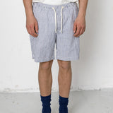 Person wearing blue and white striped shorts with a plain background