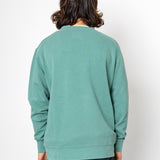 Person wearing a teal sweatshirt against a white background