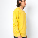 Person wearing a yellow sweater against a white background