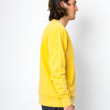 Person wearing a yellow sweater standing against a white background