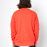 Person wearing a bright orange sweatshirt with a white background